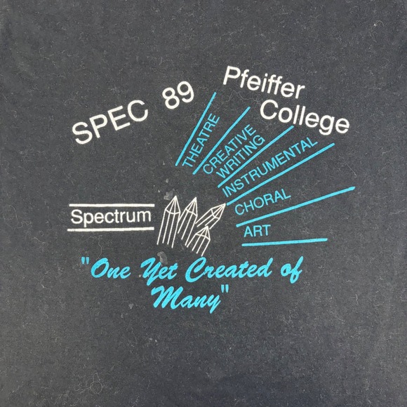 Vintage 1989 Jerzees Pfeiffer College Spectrum T-Shirt Mens Large Black 80s Tee - Picture 3 of 10